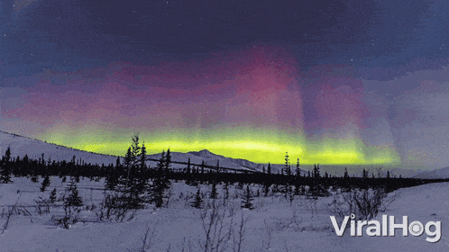 Aurora Borealis Viralhog GIF - Aurora Borealis Viralhog Northern Lights GIFs