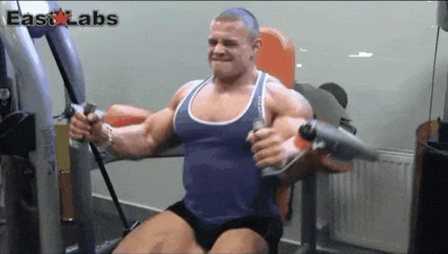 Body Builder Body Building GIF - Body Builder Body Building Muscle GIFs