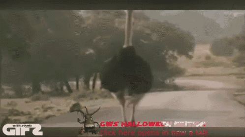 Drop It Low Girl. GIF - Dropitlow Chrisbrown Ostrichdance GIFs