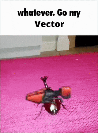a picture of a bug on a pink rug with the words `` whatever go my vector '' .