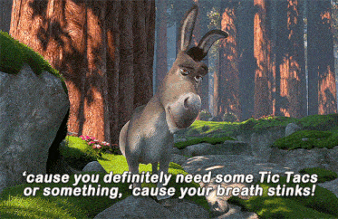 a donkey in a forest with the words ' cause you definitely need some tic tacs or something cause your breath stinks