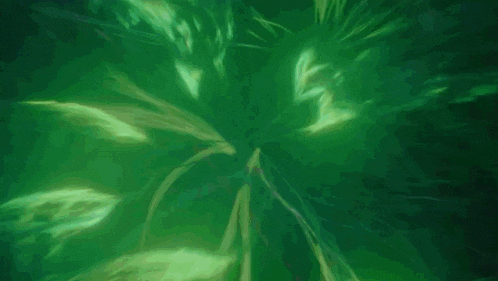 a green background with a lot of glowing lines on it