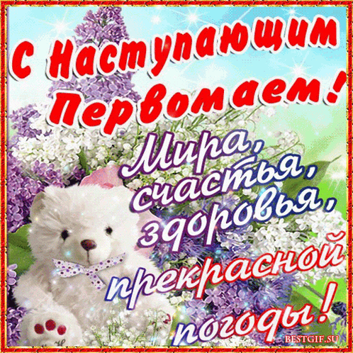a greeting card with a teddy bear and purple flowers in the background