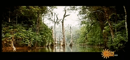 a picture of a river surrounded by trees with the words sun music written on the bottom