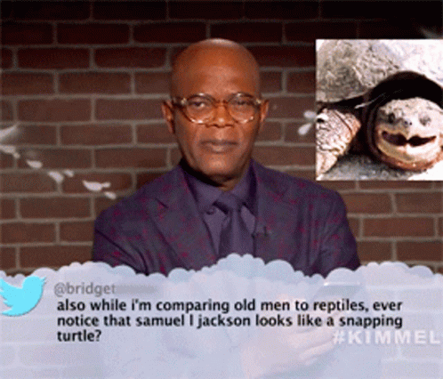 Snapping Turtle Comparing GIF - Snapping Turtle Comparing Notice GIFs