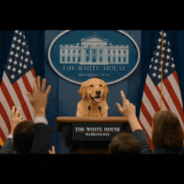 a dog at a podium in front of the white house