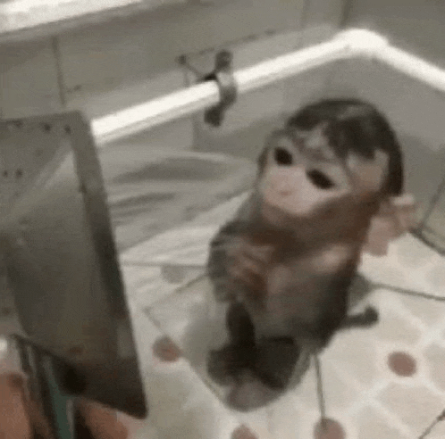 a baby monkey is sitting on a blanket in front of a computer monitor .