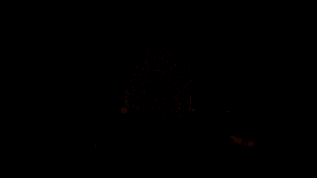 a close up of a burning fire with a black background