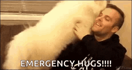 Samoyed Dog Love GIF - Samoyed Dog Love Hug GIFs