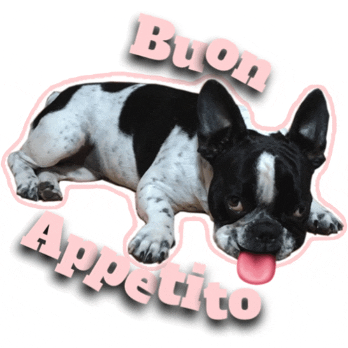 a black and white dog with its tongue hanging out and the words buon appetito