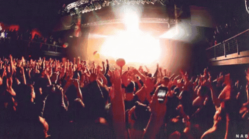 a crowd of people at a concert with the name nab on the bottom right