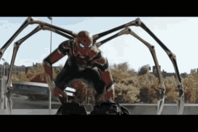 a close up of a spider man standing on a rock with a spider web .