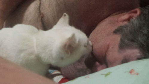 Momma Gives Good Night Kisses GIF - Momma Gives Good Night Kisses GIFs