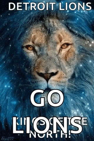 a poster of a lion with the words detroit lions go lions north on it