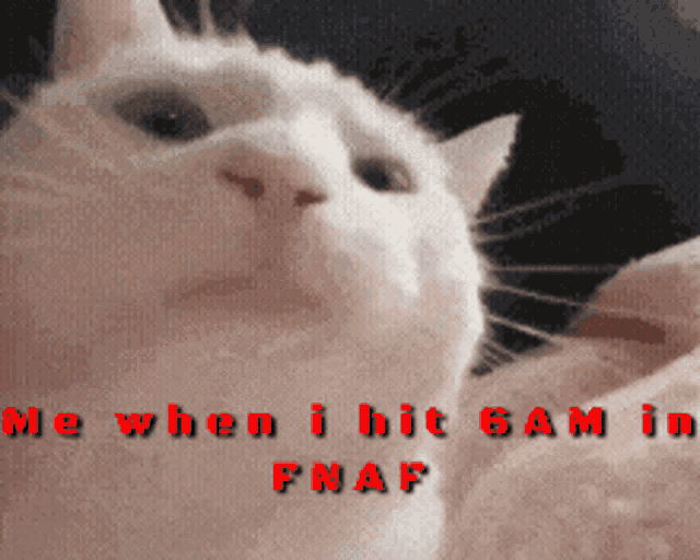 Fnaf Memes Vibing Cat GIF - Fnaf Memes Vibing Cat GIFs