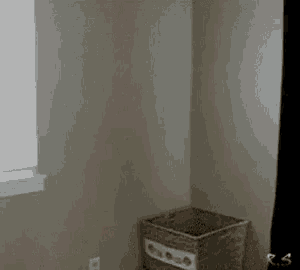a cat is sitting in a laundry basket in a room .