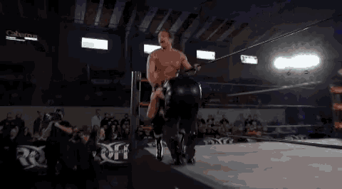 Silas Young Pco GIF - Silas Young Pco Pierre Carl Ouellet GIFs