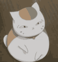 a cat is sitting on a wooden floor and looking up at the camera .