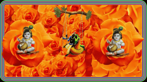 Good Morning Jai Sh Krishna GIF - Good Morning Jai Sh Krishna Flower GIFs