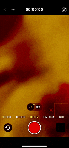 a screenshot of a video being recorded on a phone