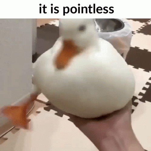 Duck It Is Pointless Duck GIF - Duck It Is Pointless Duck It Is Pointless GIFs