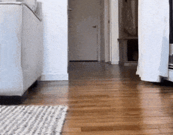 a rug is on the floor in a living room next to a couch and a door .