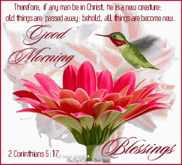 a greeting card with a flower and a hummingbird says good morning and blessings