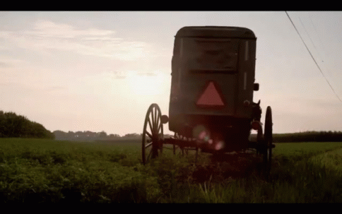 Amish Buggy GIF - Amish Buggy Amish Getting Busy GIFs