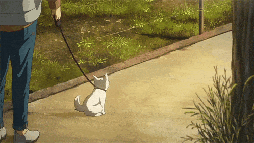 a person is walking a dog on a leash