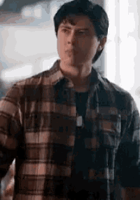 a man in a plaid shirt is standing in front of a window and looking at the camera .