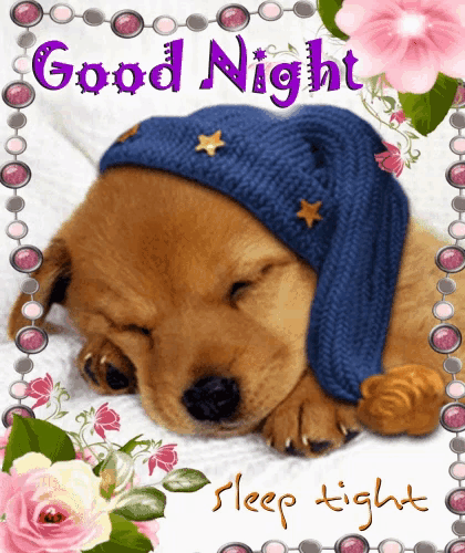 Good Night Sleep Tight GIF - Good Night Sleep Tight Sweet Dreams GIFs