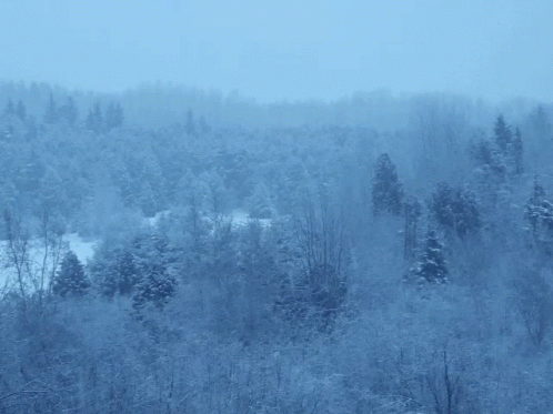 Country Snowfall GIF - Country Snowfall Winter GIFs