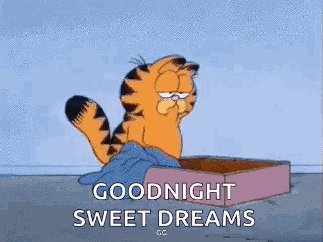 garfield is sleeping in a box with the words goodnight sweet dreams written on it .