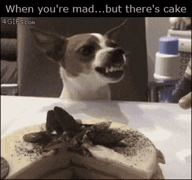 Cakedogangry Angry Dog Cake GIF - Cakedogangry Angry Dog Cake Cake Angry GIFs