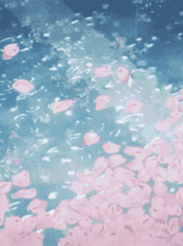 Aesthetic Petals GIF - Aesthetic Petals Cherry Blossoms GIFs