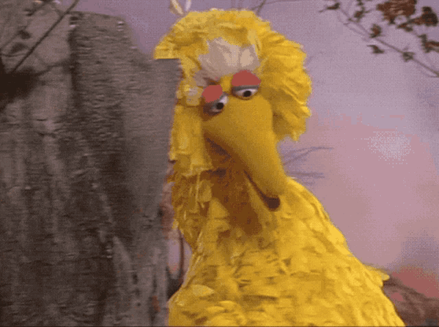 Muppet Show Leslie Uggams GIF - Muppet Show Leslie Uggams Big Bird GIFs