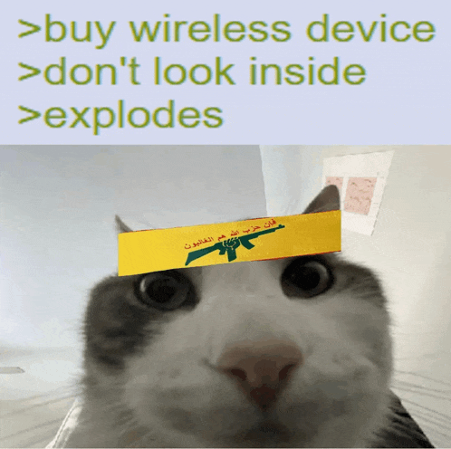 a picture of a cat with a yellow band on its head that says buy wireless device