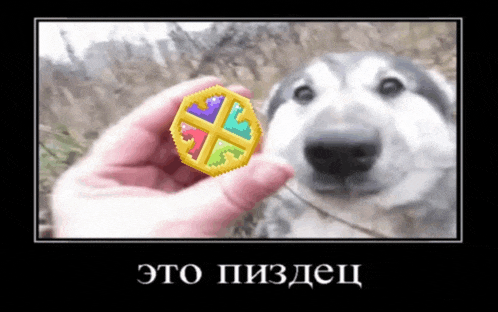 a picture of a person holding a colorful object in front of a dog with russian writing