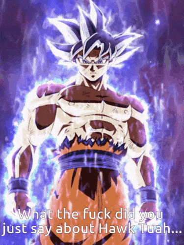 a picture of a cartoon character with the words what the fuck did you just say about hawk tuan