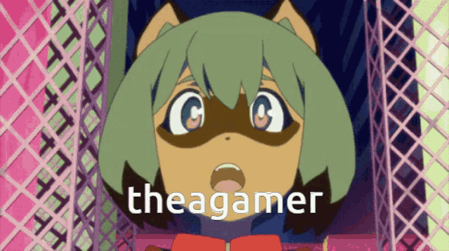a cartoon drawing of a raccoon with the word theagamer written below it