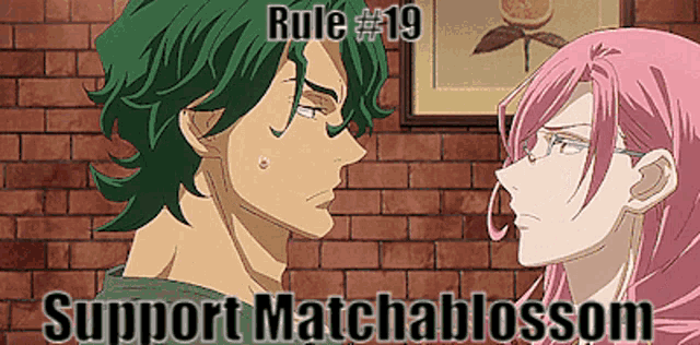 rule # 19 support matchablossom is written on a brick wall