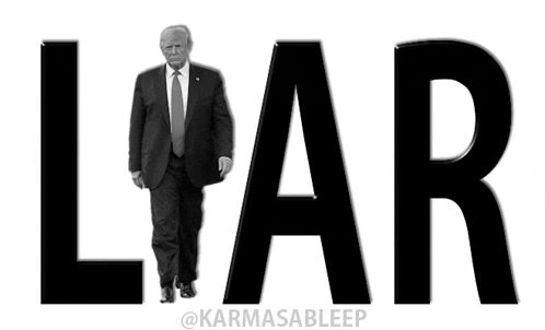 a black and white photo of donald trump with the word liar above him