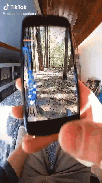 a person is taking a picture of a forest with a cell phone with tiktok written on it