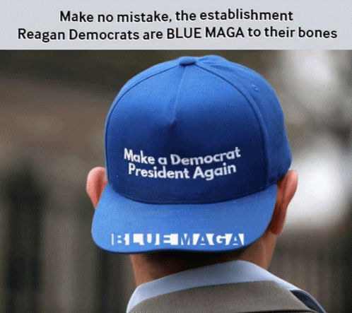 Politics Make No Mistake GIF - Politics Make No Mistake Democrats GIFs