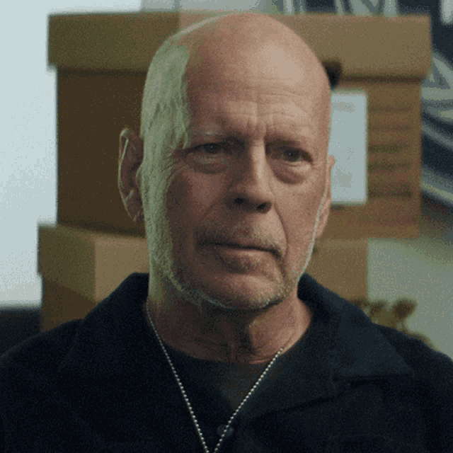 a bald man with a beard wearing a necklace looks at the camera