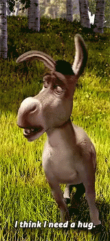 Shrek Donkey GIF - Shrek Donkey Hug GIFs