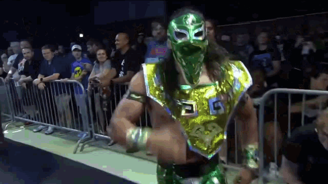 a wrestler wearing a green and gold outfit with the number 6 on his chest