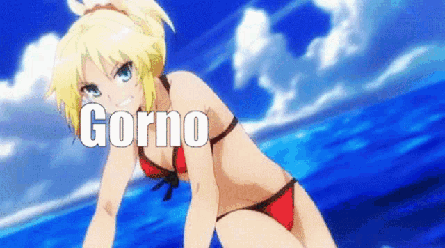 a girl in a red bikini with the word gorno written on the bottom