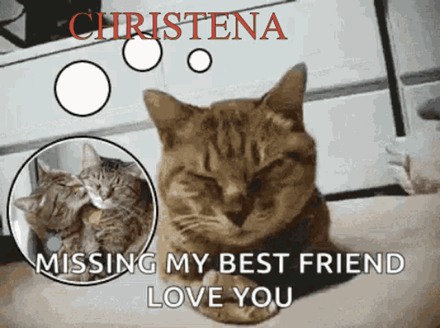 Missing My Best Friend Love You GIF - Missing My Best Friend Love You I Love You GIFs