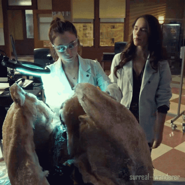 two women in lab coats looking at a piece of fur with surreal-wanderer written below them